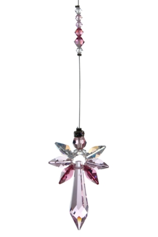 Radiant Angel Rose