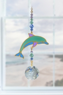 Dolphin - Marine