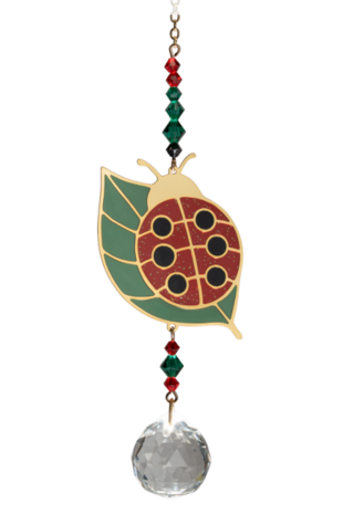 Crystal Dreams LadyBug - Multicolour