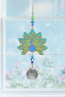 Peacock - Teal