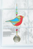 Robin - Robin