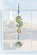 Seahorse - Marine