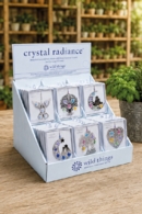 Crystal Radiance Starter Pack Kit 2 (24)