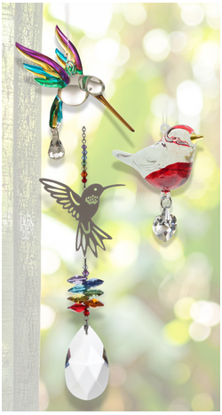 Birds