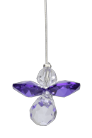 Guardian Angel Starter Pack