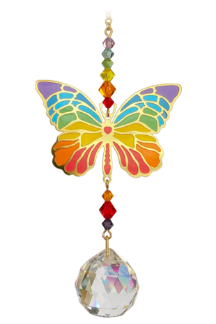 Butterfly - Rainbow