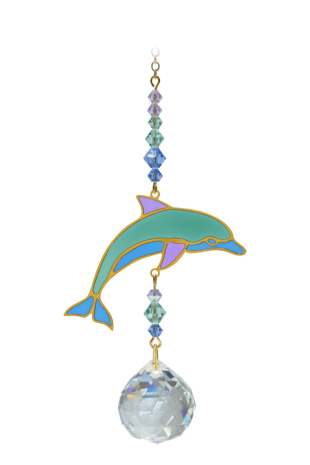 Dolphin - Marine