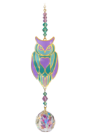 Owl - Aurora