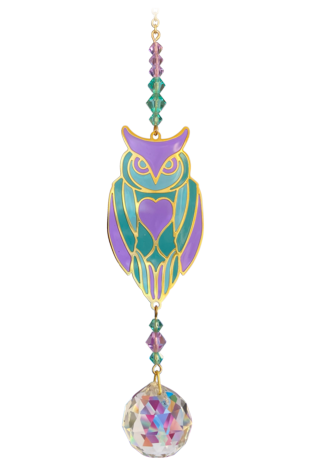 Owl - Aurora