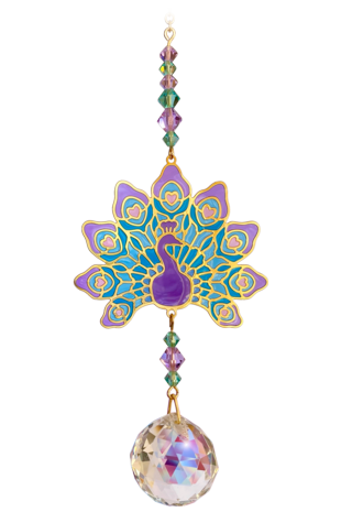Peacock - Purple