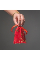 Red & Gold Bag Xmas 10cm x 15cm
